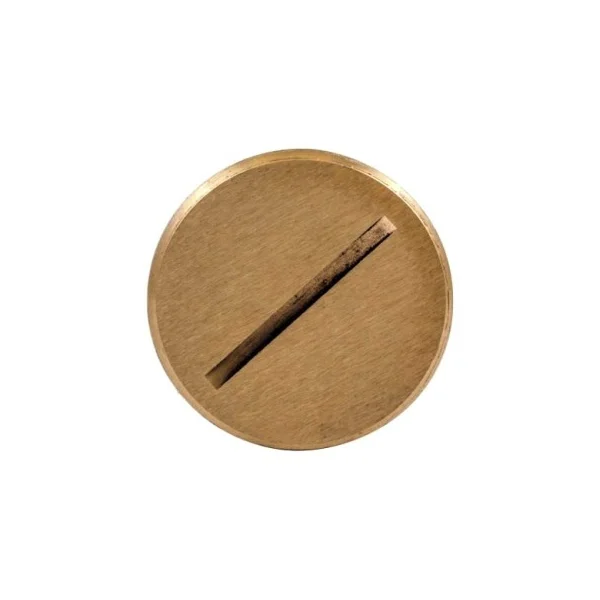 [Hubbell Wiring] S5007