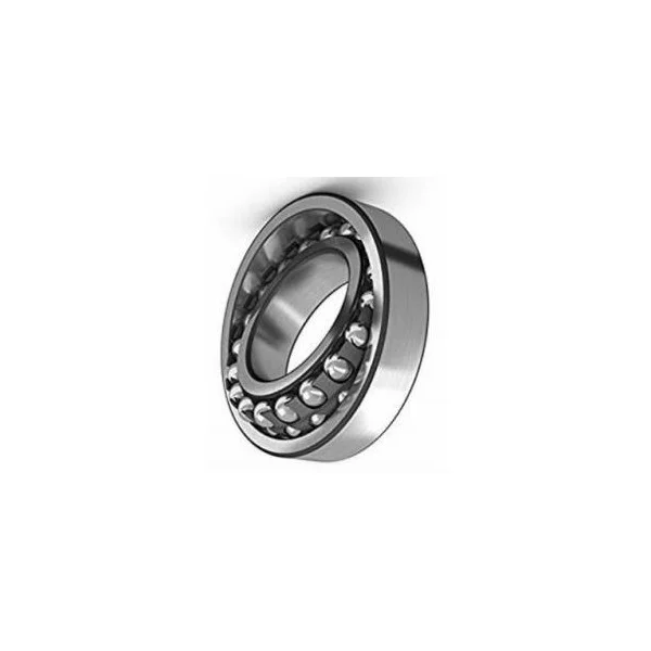 [MRC Bearing] 1305E