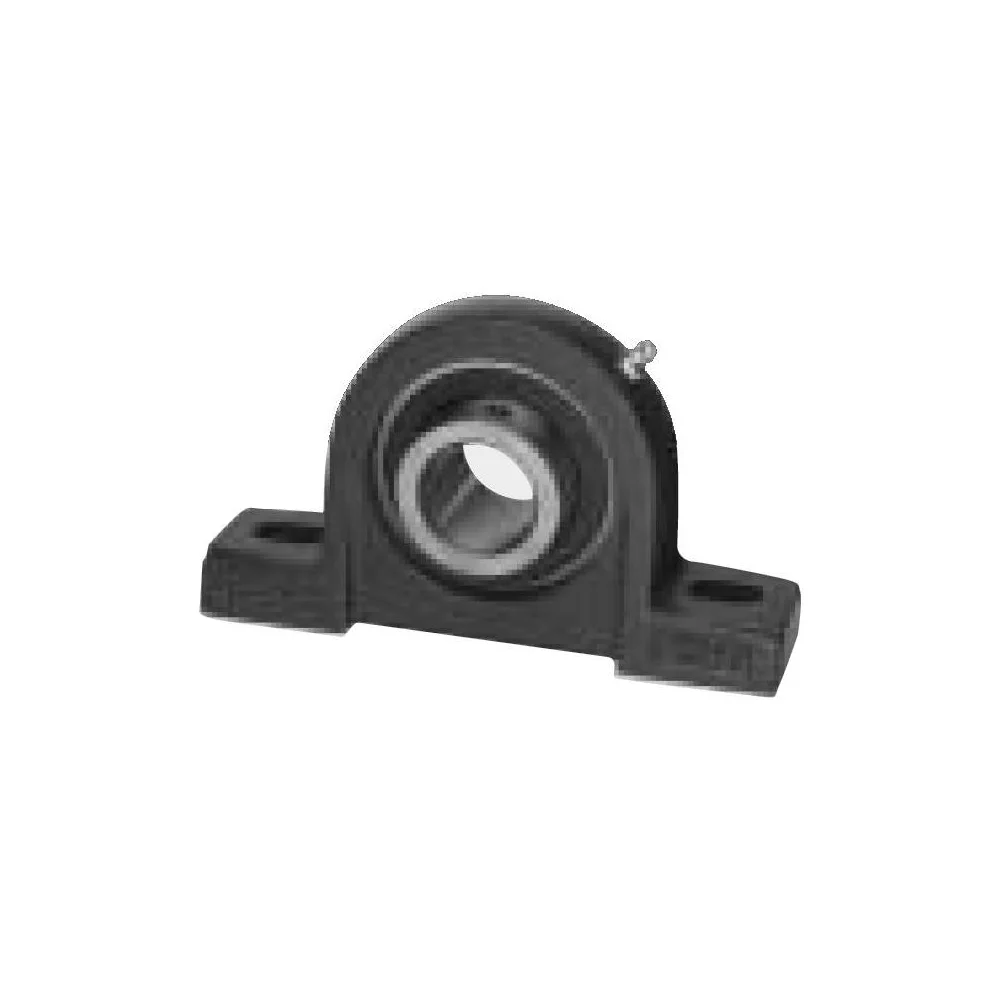 [IPTCI Bearing] PX 07