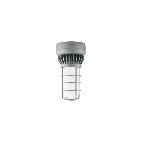 [RAB Lighting] VXLED26DG