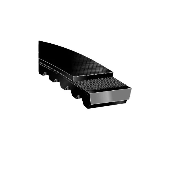 [Gates Rubber] 3626V556