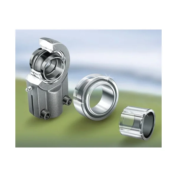 [INA Bearing] GIHRK80DO