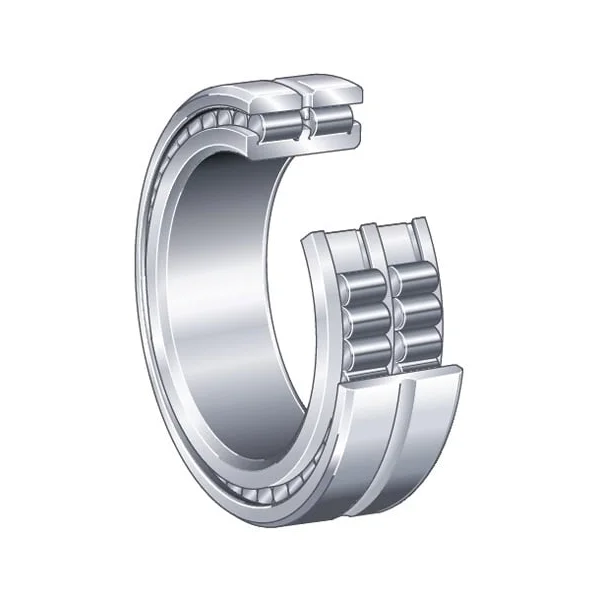 [INA Bearing] SL014848