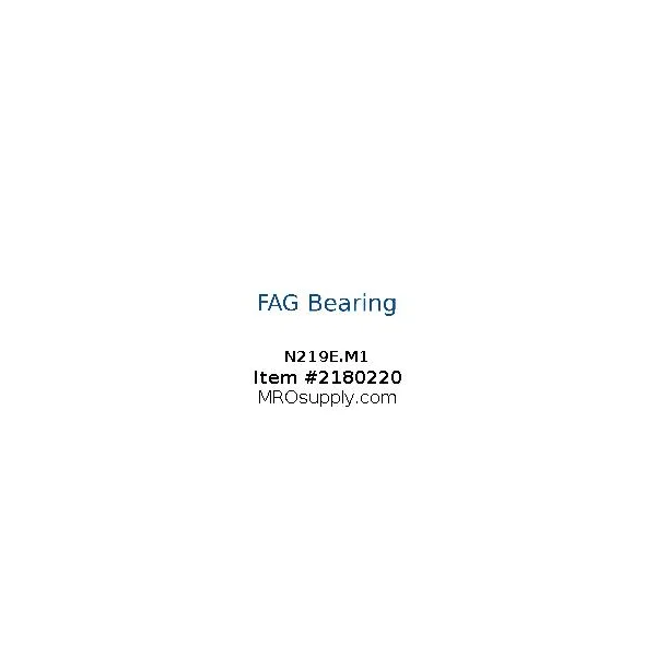 [FAG Bearing] N219E.M1