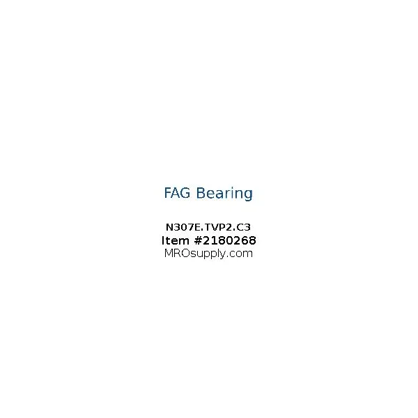 [FAG Bearing] N307E.TVP2.C3