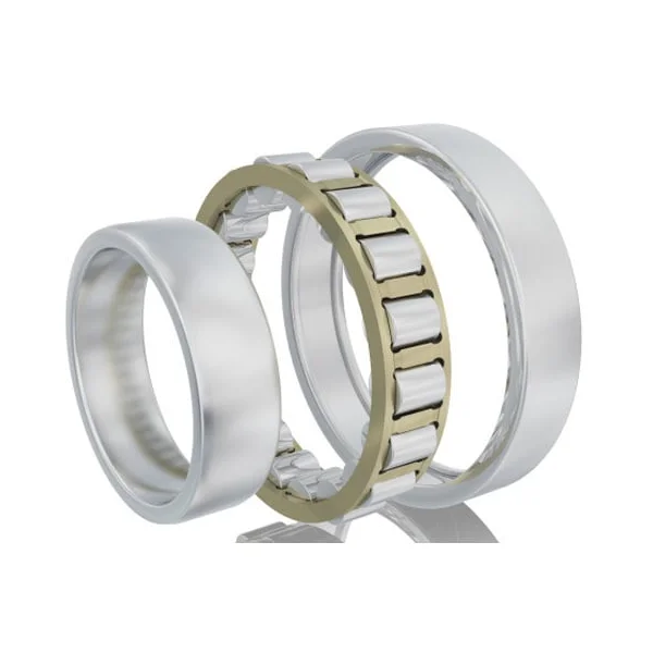 [FAG Bearing] N320E.M1.C3