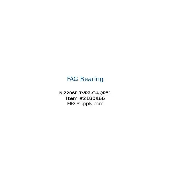 [FAG Bearing] NJ2206E.TVP2.C4.QP51