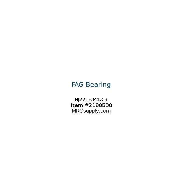 [FAG Bearing] NJ221E.M1.C3