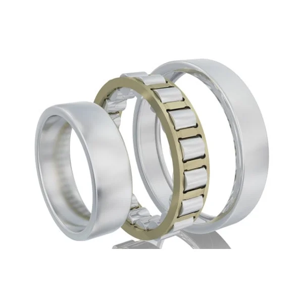 [FAG Bearing] NJ2238E.M1