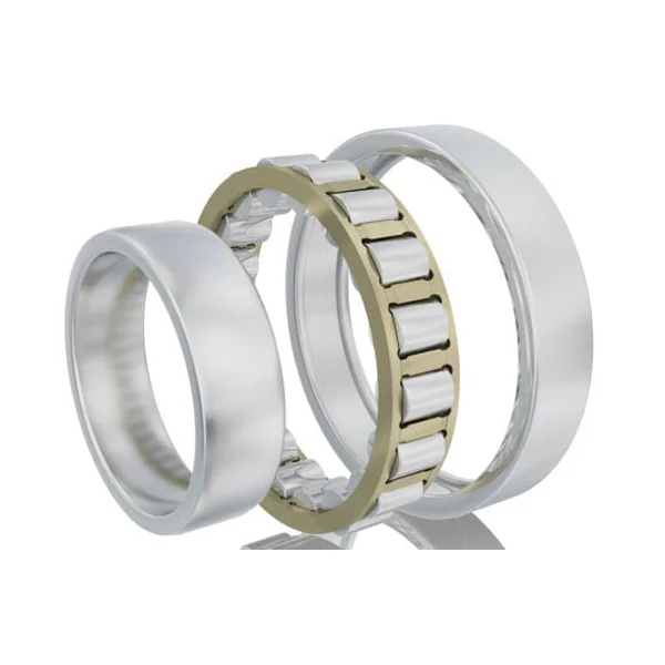 [FAG Bearing] NJ2309E.M1.C3