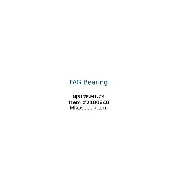 [FAG Bearing] NJ317E.M1.C4
