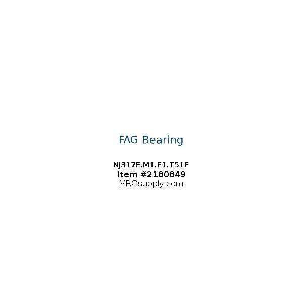 [FAG Bearing] NJ317E.M1.F1.T51F