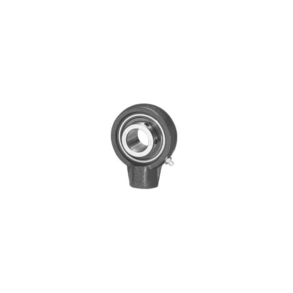 [IPTCI Bearing] UCHA 206 20