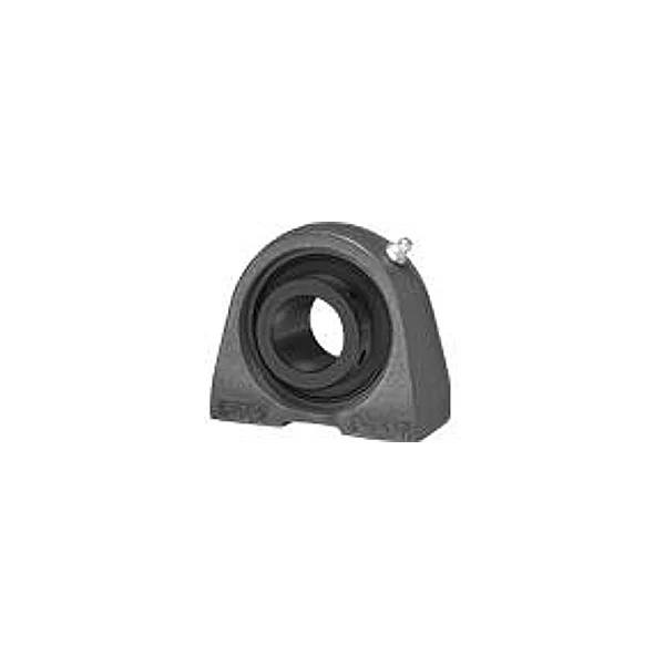 [IPTCI Bearing] HUCPA 207 20