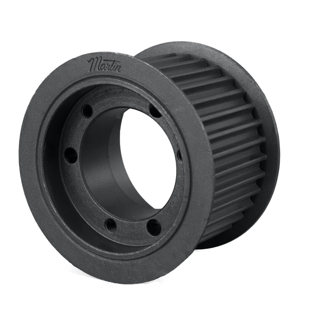 [Martin Sprocket] P808M20-SDS