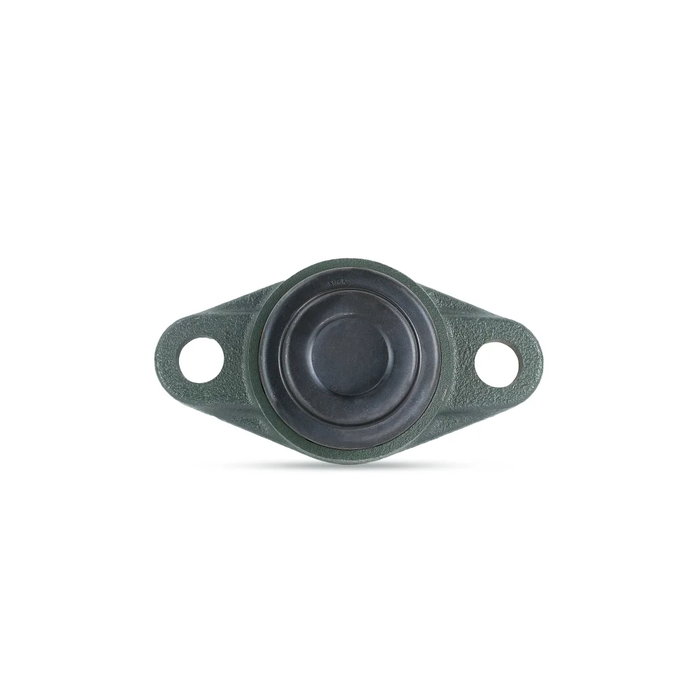 [NTN Bearing] SM-UCFL205D1