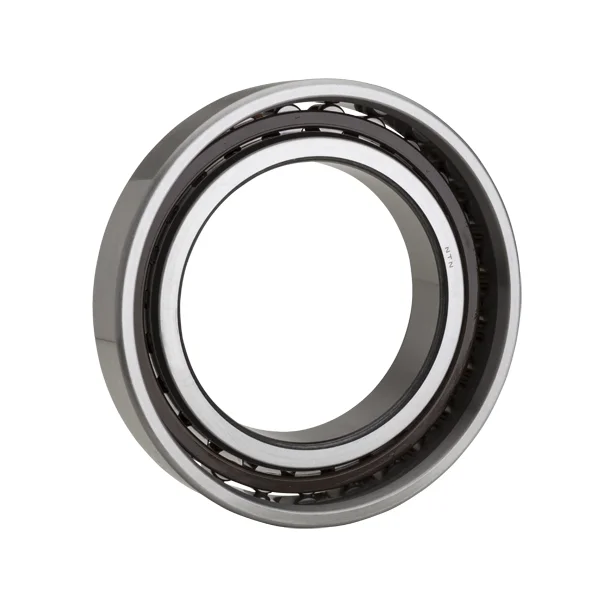[NTN Bearing] N1017AKP4V2