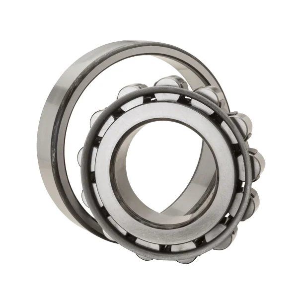 [NTN Bearing] N1014HSP5