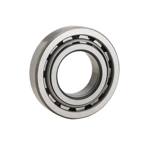 [NTN Bearing] MSN1310EL