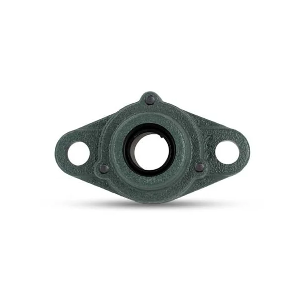 [NTN Bearing] C-UCFL208D1