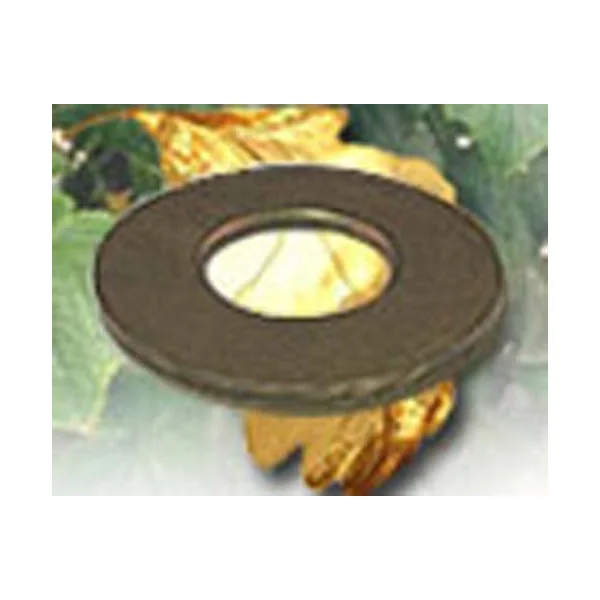 [Bunting Bearings] ECOW081601