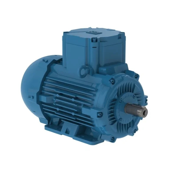 [WEG] E00212XP3YAX112MF3-W