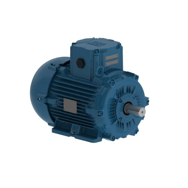 [WEG] E00412XP3YAX132MF3-W