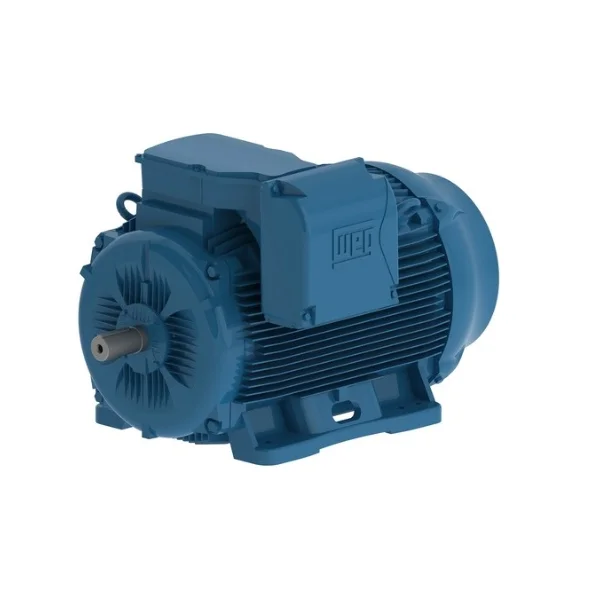 [WEG] 30036ET3Y355M/L-W22