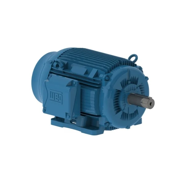 [WEG] 12536ET3H444TS-W22G