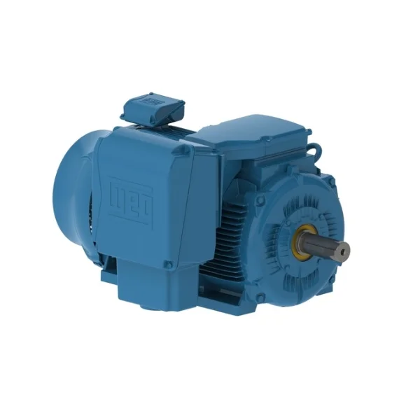 [WEG] 20036ET3XL449-W22MV