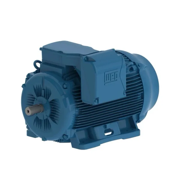 [WEG] 22036ET3Y315L-W22