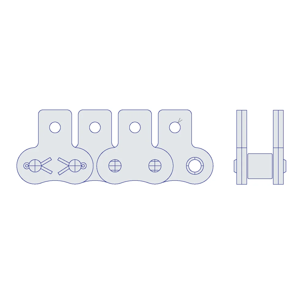 [HKK Chain] 100RSK1EV