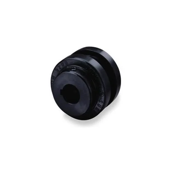 [Bell & Gossett] 185330