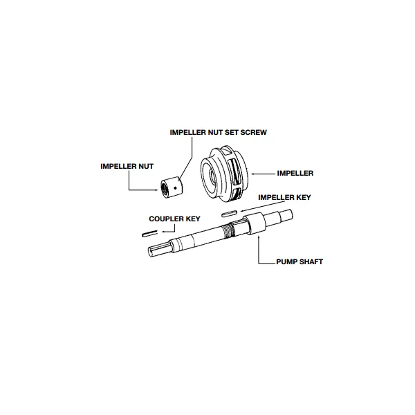 [Bell & Gossett] P81911