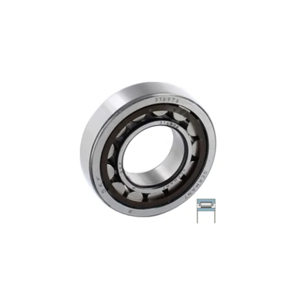 [SKF Bearing] 316976