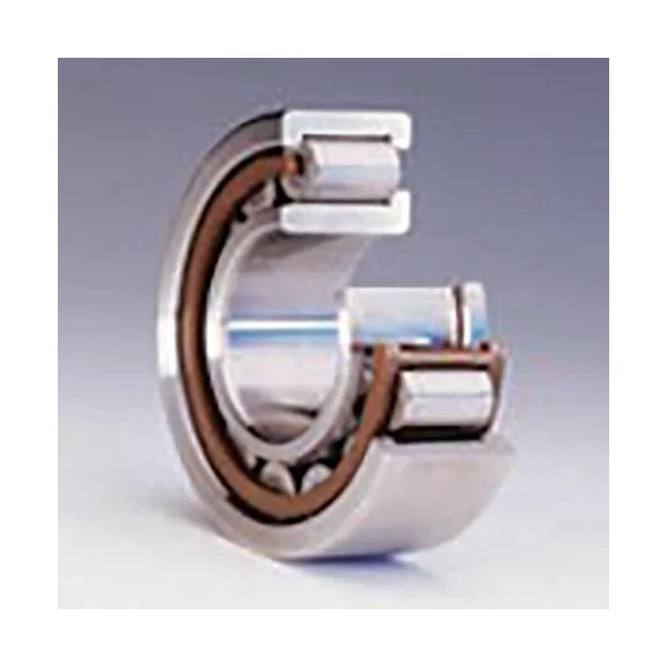 [SKF Bearing] NUPG 309 VH/C3