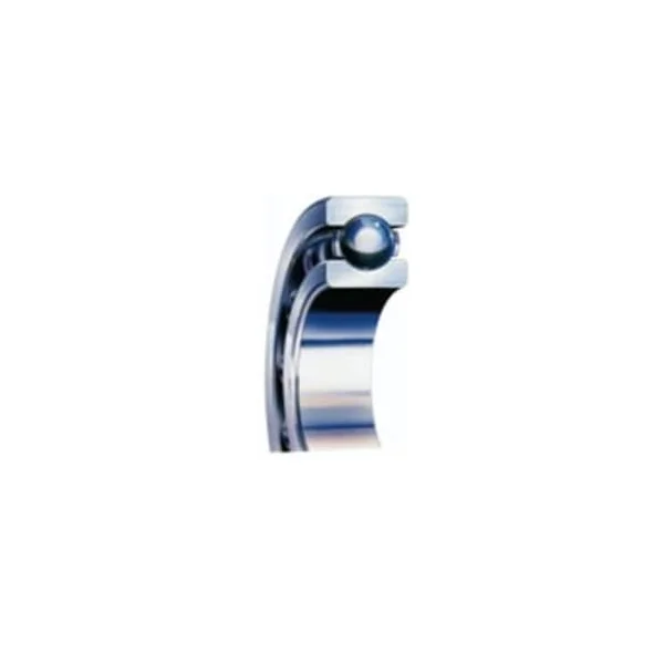 [SKF Bearing] 6015/DFC135