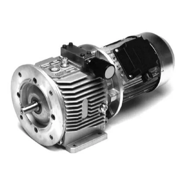 [TB Woods] V00D-1A01