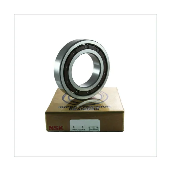 [NSK Bearings] 6007TCG12P4