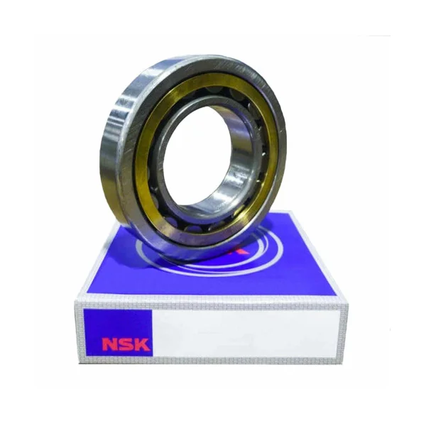 [NSK Bearings] NU1048M