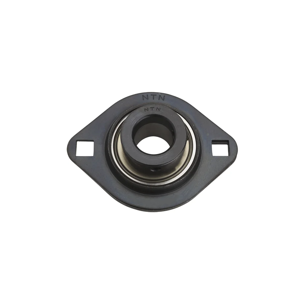 [NTN Bearing] AELPFL206