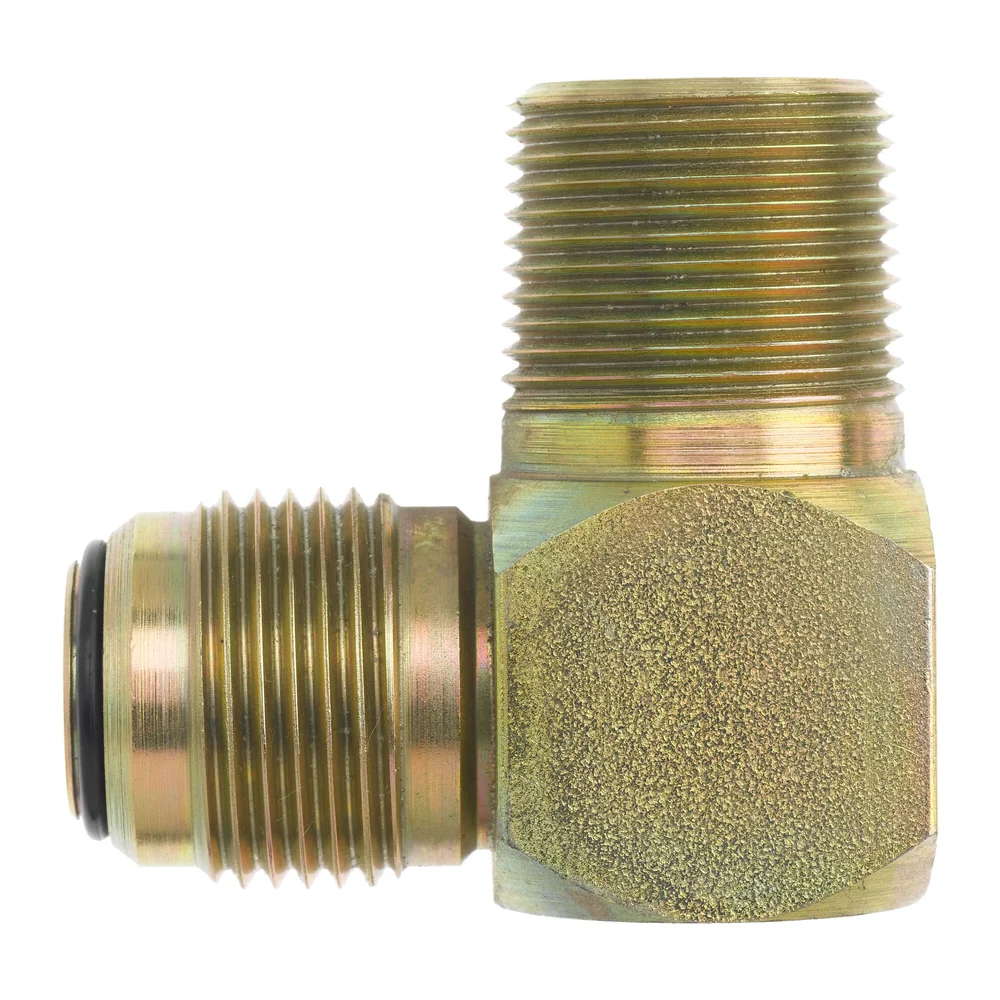 [HKIS] F2501-12-12-O-FG