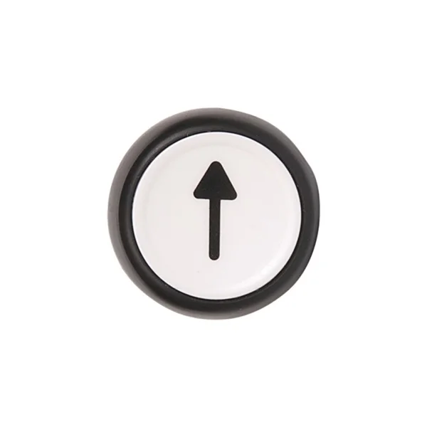 [Allen Bradley] 800FP-CA1U241