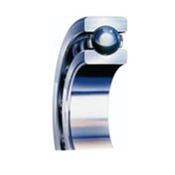 [SKF Bearing] 6313 Y/C782