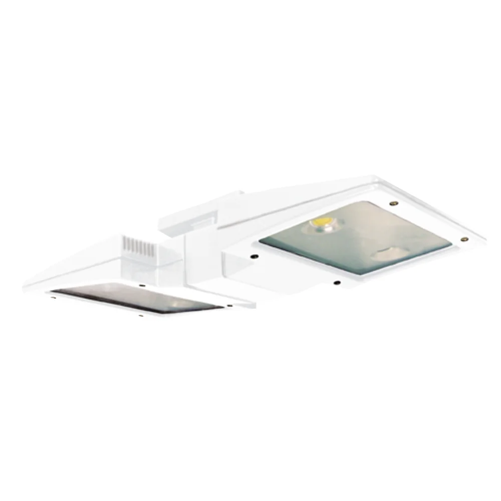 [RAB Lighting] CLED2X18NW