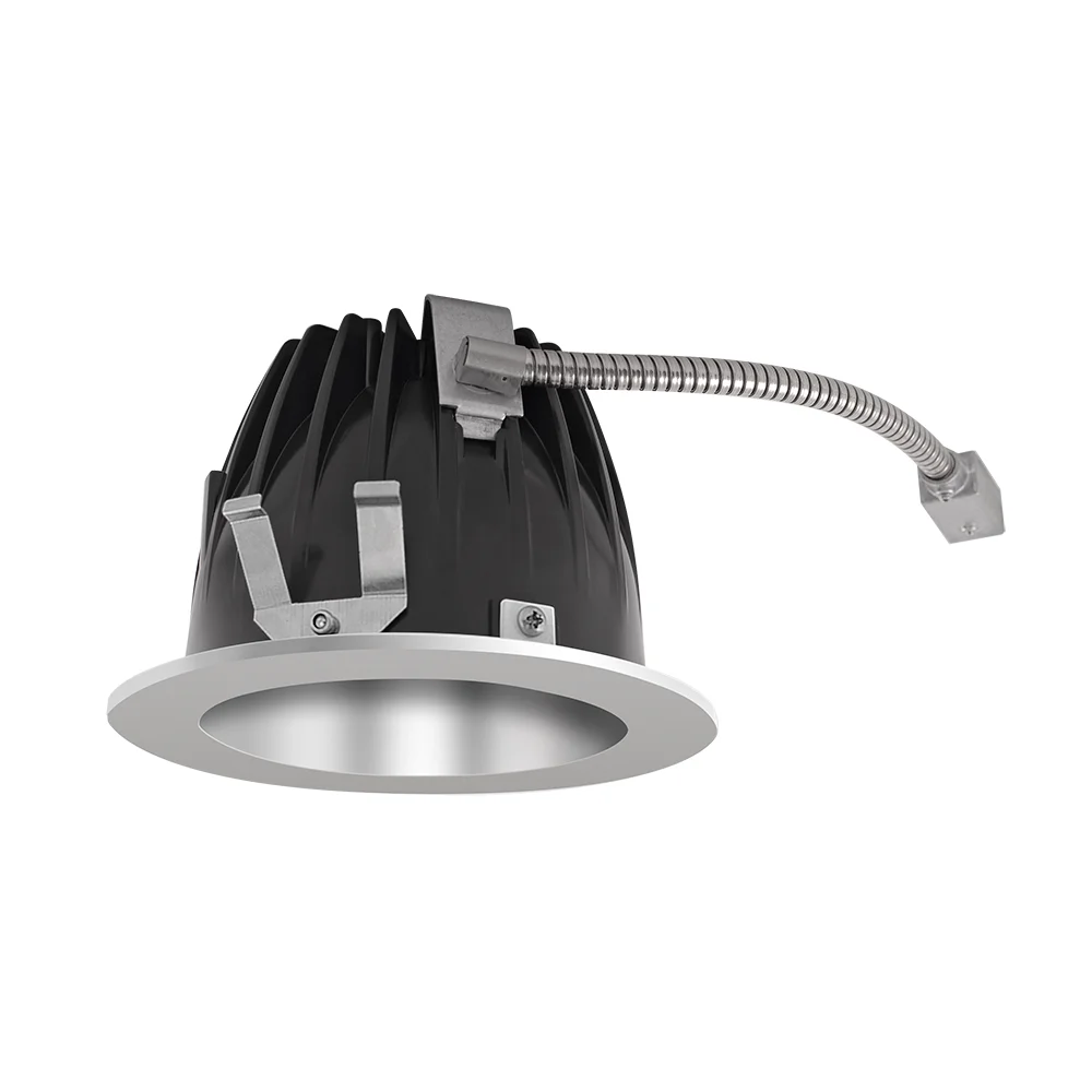 [RAB Lighting] NDLED4RD-50N-S-S