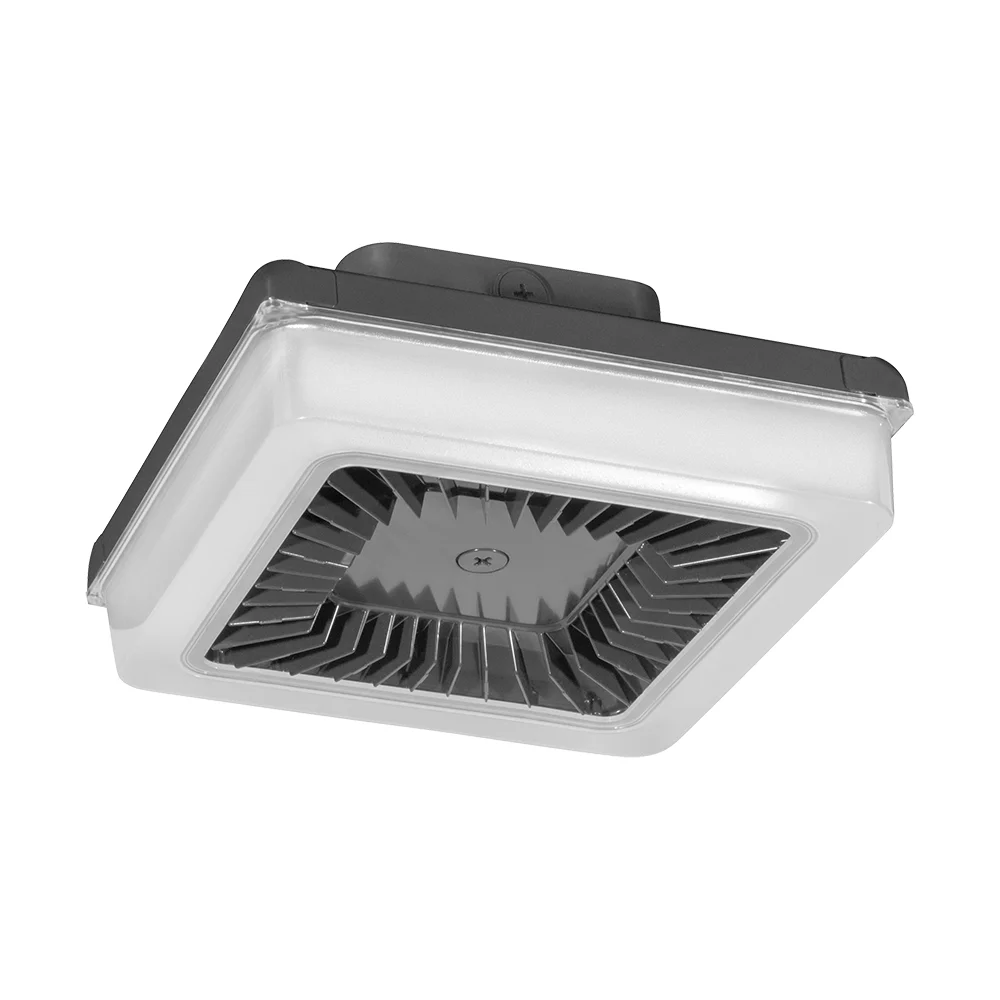 [RAB Lighting] PRT30N