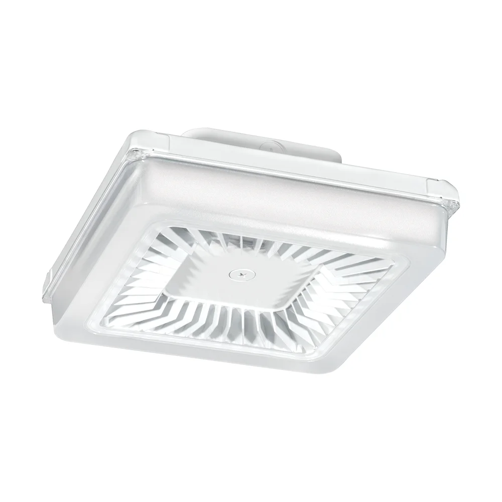 [RAB Lighting] PRT55W