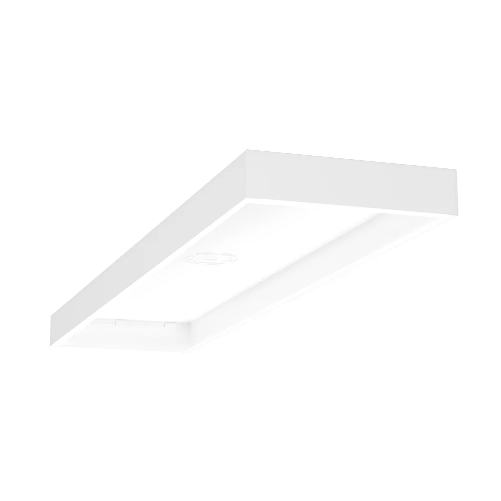[RAB Lighting] SMKEZPAN1X4