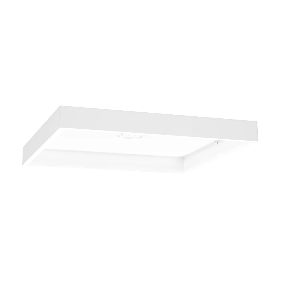 [RAB Lighting] SMKEZPAN2X2